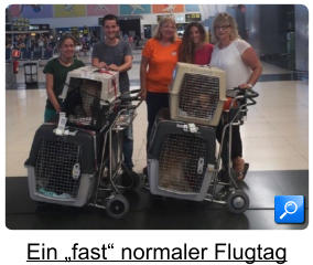 Ein „fast“ normaler Flugtag