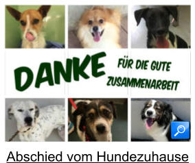 Abschied vom Hundezuhause