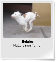 Eclaire Hatte einen Tumor