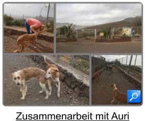 Zusammenarbeit mit Auri