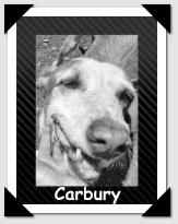 Carbury