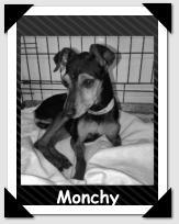 Monchy
